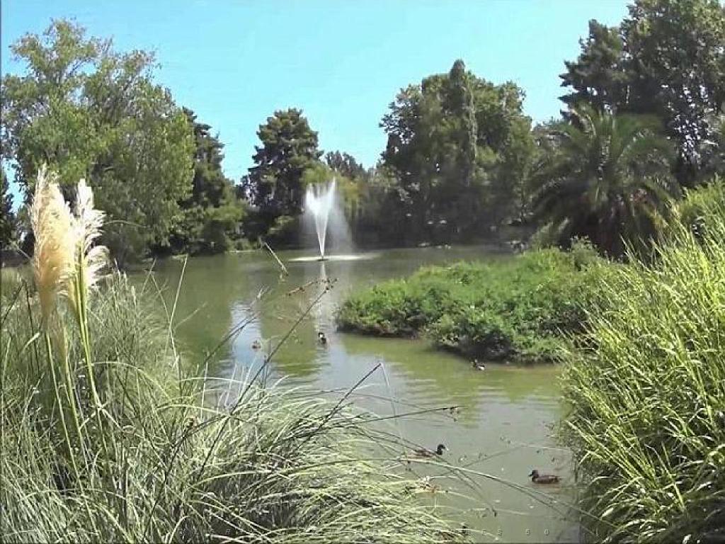 183 D35 PARC OLBIUS RIQUIER A HYERES_000048.jpg